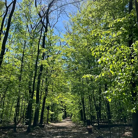 Centrum Konferencyjno-apartamentowe Mrówka Kompleks wypoczynkowy Warszawa
