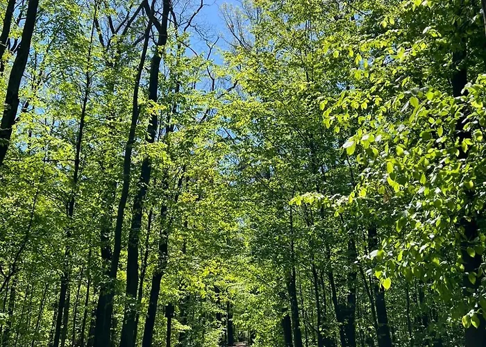Centrum Konferencyjno-apartamentowe Mrowka Üdülőpark Varsó